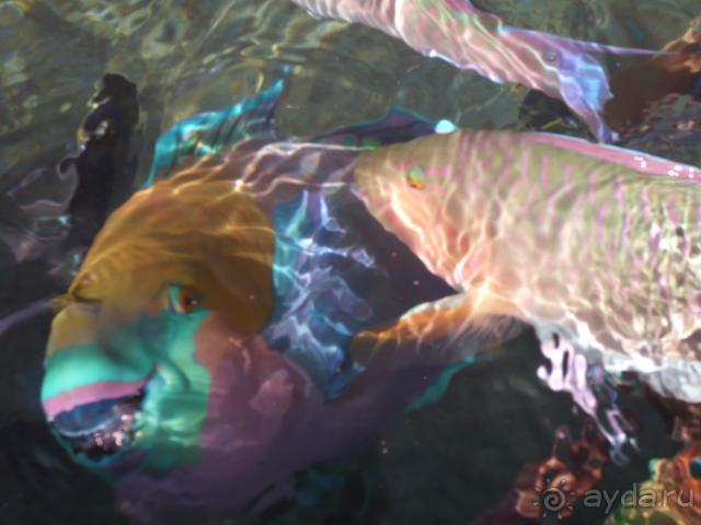 Маленький красивый отель