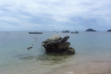 символ острова Тао