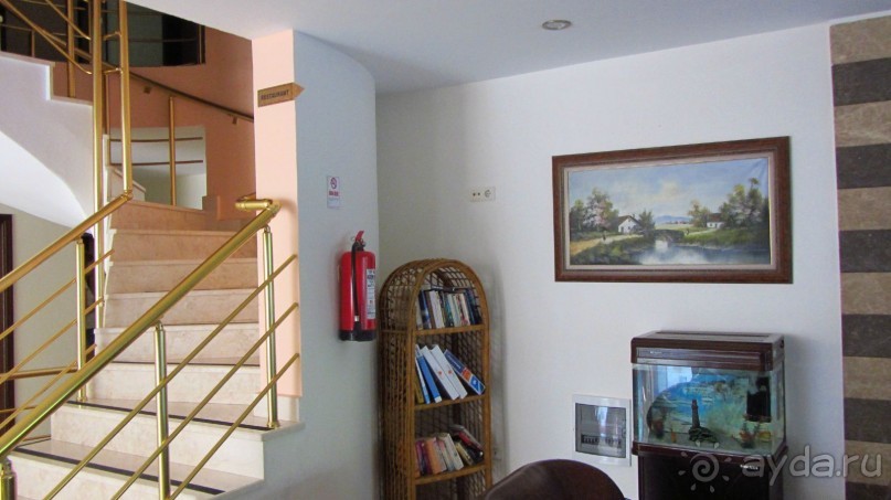 фото Club Arenal