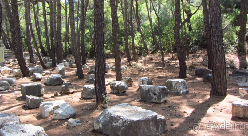 фото Wassermann Hotel