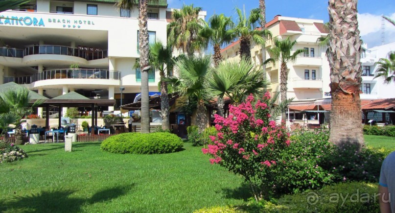 фото Club Arenal