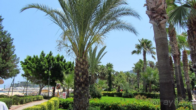 фото Wassermann Hotel