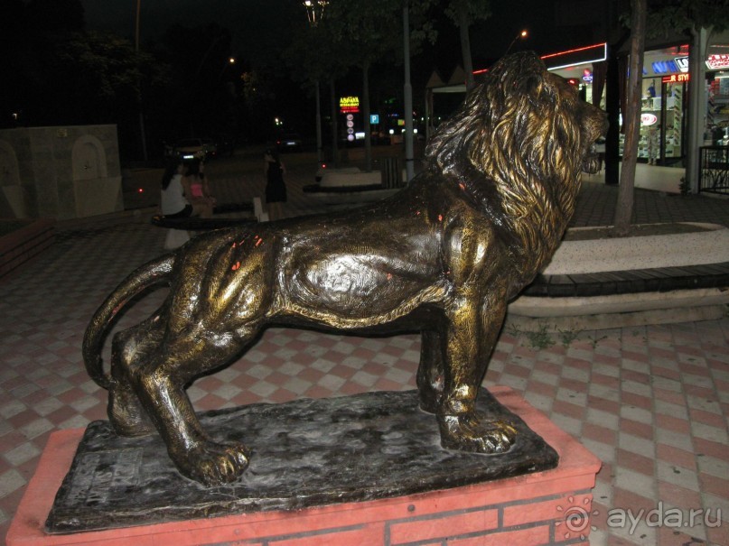 фото Wassermann Hotel