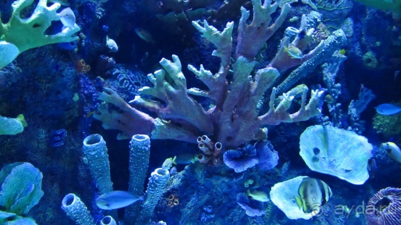 В Кемере все здорово!