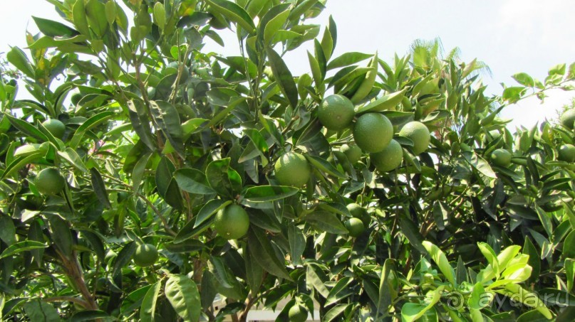 В Кемере все здорово!