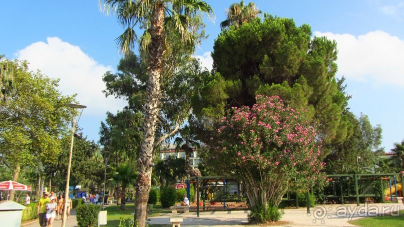 В Кемере все здорово!