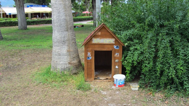 В Кемере все здорово!
