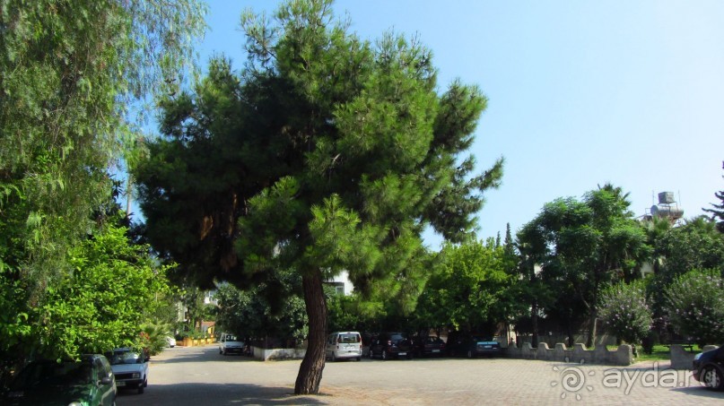 В Кемере все здорово!