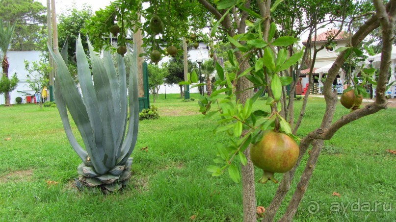 В Кемере все здорово!