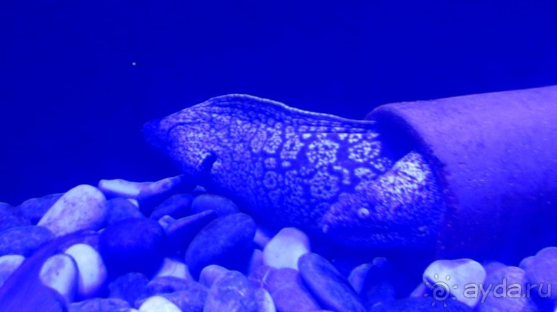 В Кемере все здорово!