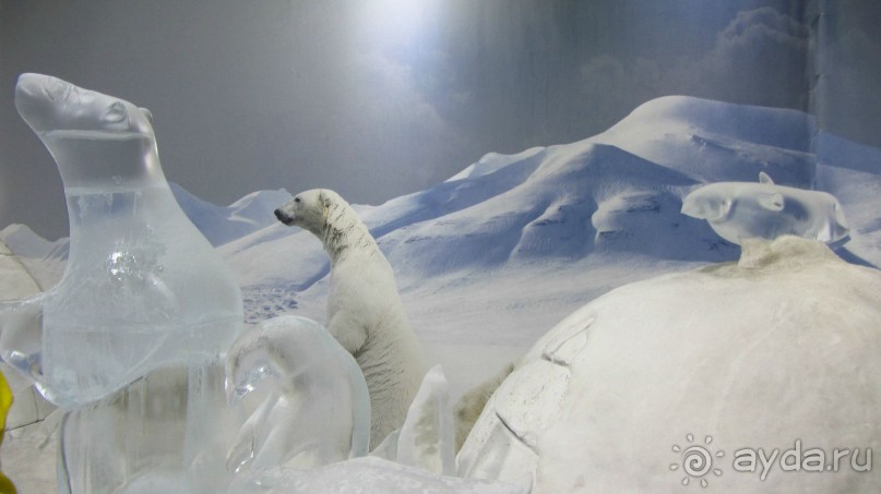 снежная комната в океанариуме (температура -5)