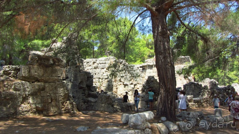 В Кемере все здорово!