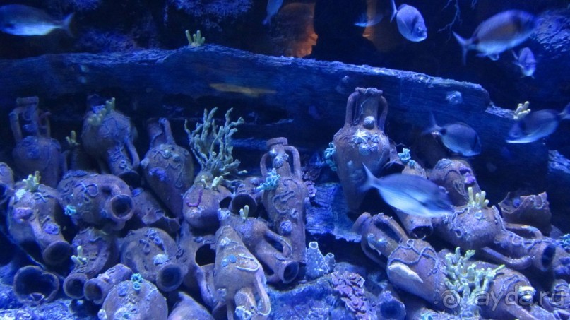 В Кемере все здорово!