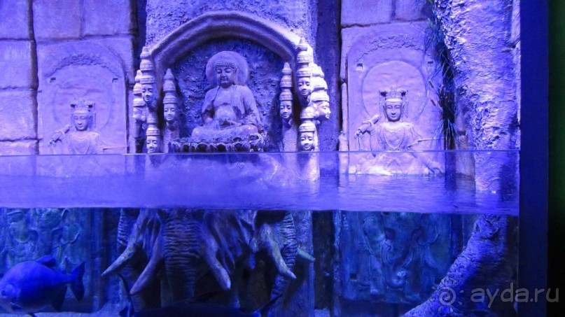 В Кемере все здорово!