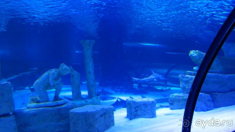 В Кемере все здорово!