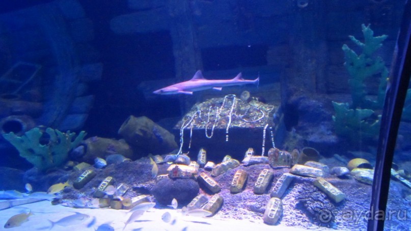 В Кемере все здорово!