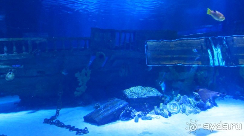 В Кемере все здорово!