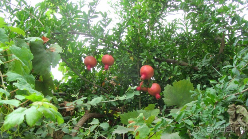 В Кемере все здорово!