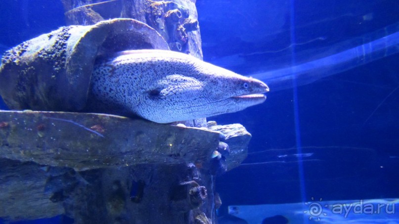 В Кемере все здорово!