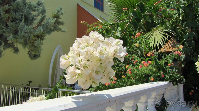 В Кемере все здорово!