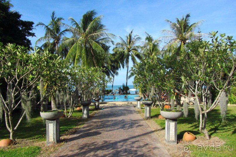 дорожка к бассейну