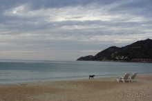 ранним утром