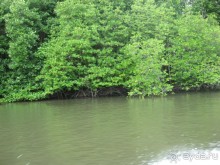 Альбом отзыва "Путешествие по Малайзии (Куала-Лумпур, Лангкави)."