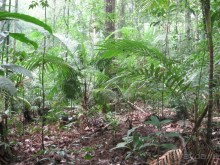 Путешествие по Малайзии (Куала-Лумпур, Лангкави).