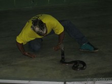 Путешествие по Малайзии (Куала-Лумпур, Лангкави).