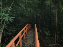 Путешествие по Малайзии (Куала-Лумпур, Лангкави).