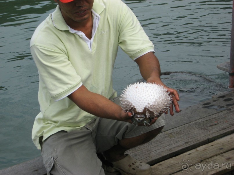 Путешествие по Малайзии (Куала-Лумпур, Лангкави).