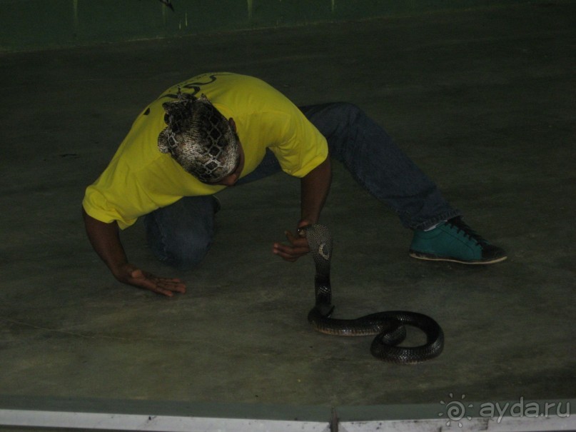 Путешествие по Малайзии (Куала-Лумпур, Лангкави).