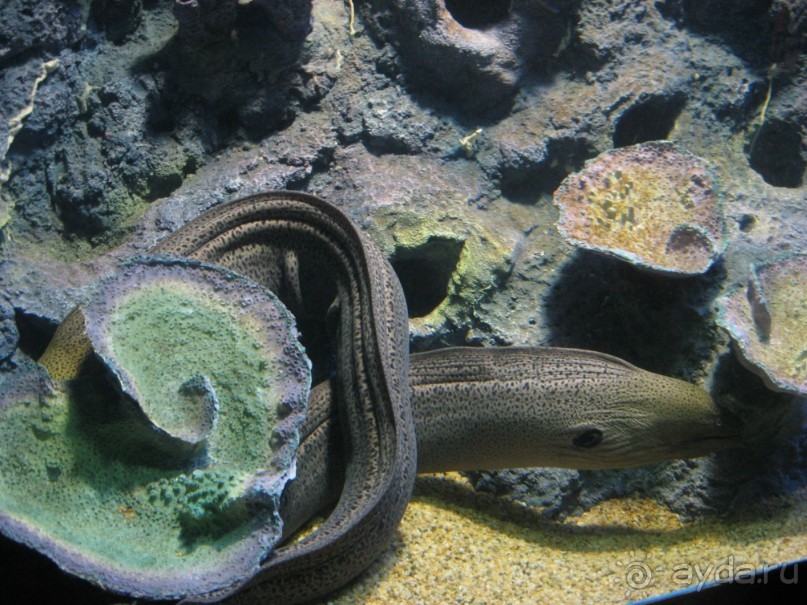 Путешествие по Малайзии (Куала-Лумпур, Лангкави).