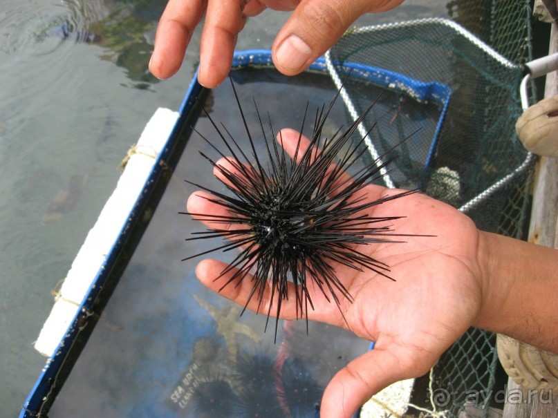 Путешествие по Малайзии (Куала-Лумпур, Лангкави).