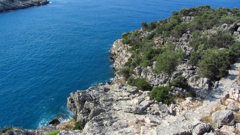 фото Wassermann Hotel