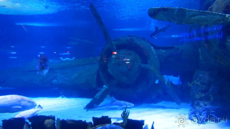 фото Wassermann Hotel