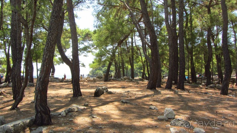 фото Wassermann Hotel