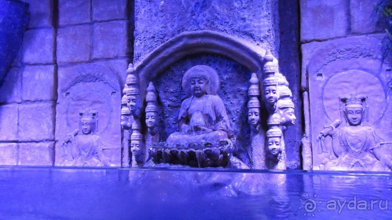 фото Wassermann Hotel