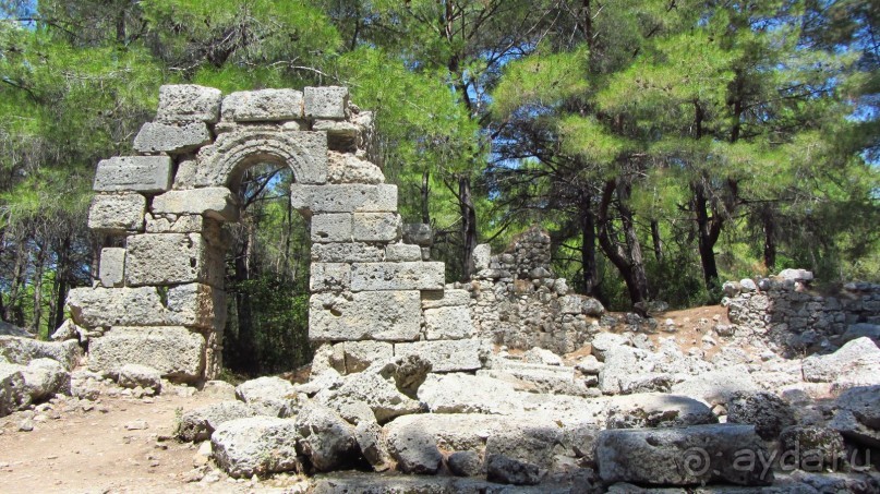 фото Wassermann Hotel