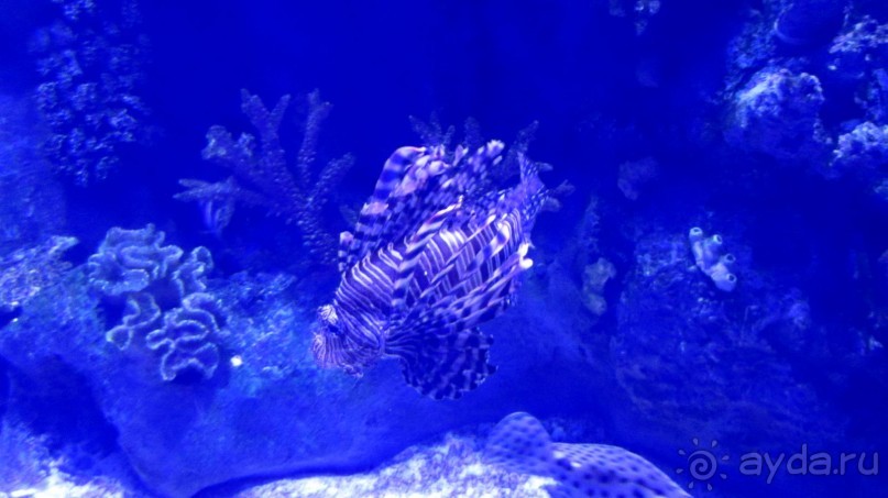 фото Wassermann Hotel