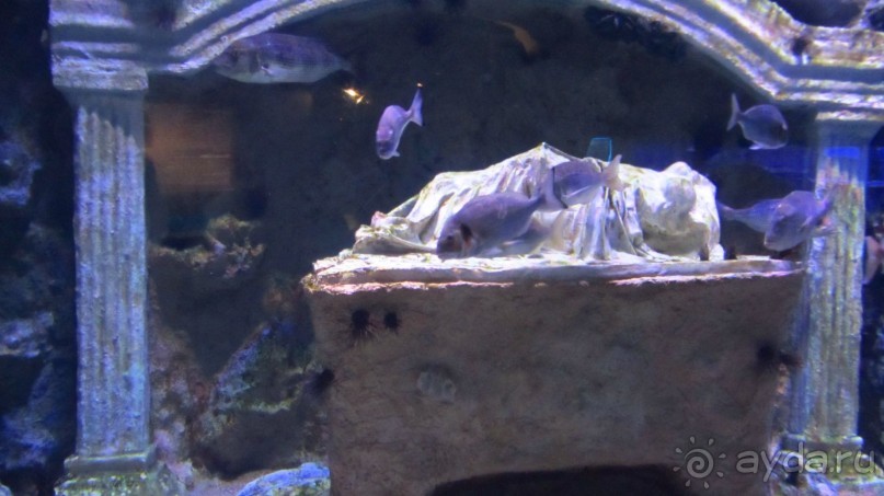 фото Wassermann Hotel