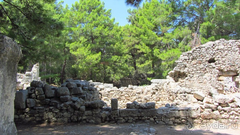 фото Wassermann Hotel