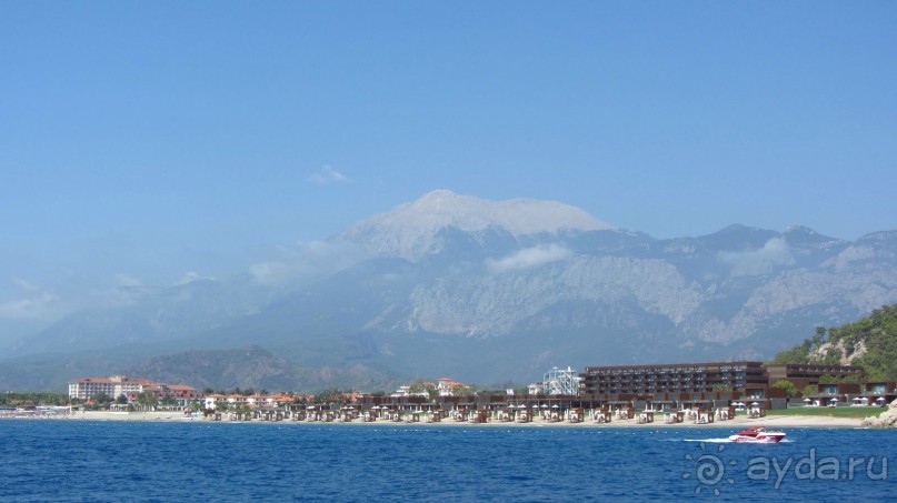 фото Wassermann Hotel