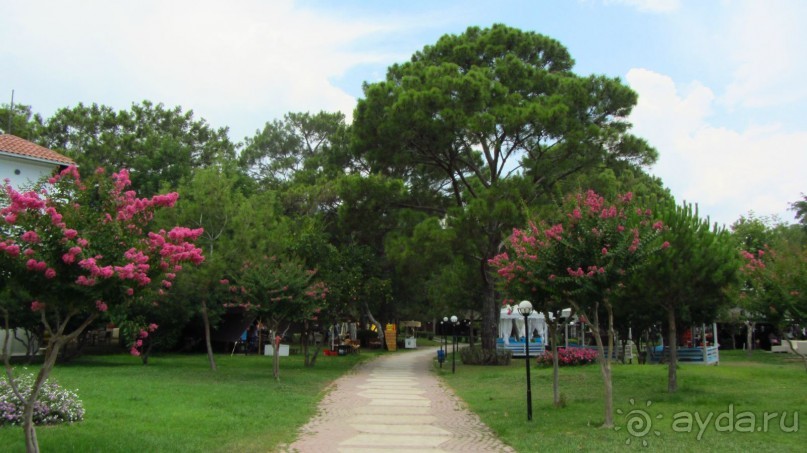 фото Wassermann Hotel