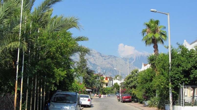 фото Wassermann Hotel