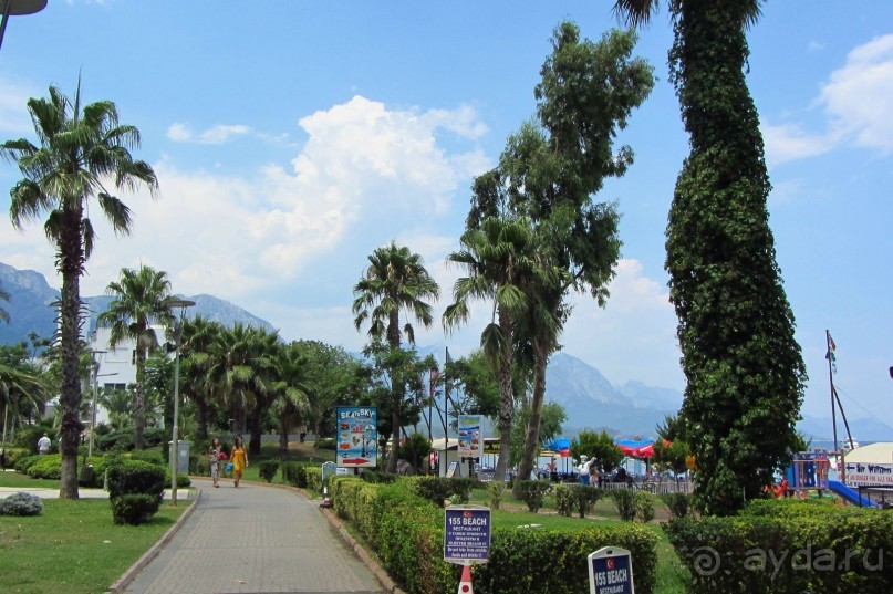 фото Wassermann Hotel