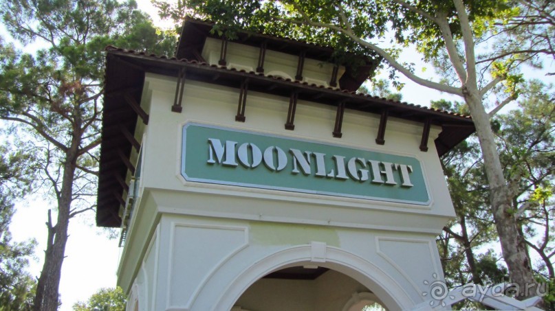 фото Wassermann Hotel