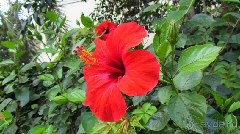 фото Wassermann Hotel