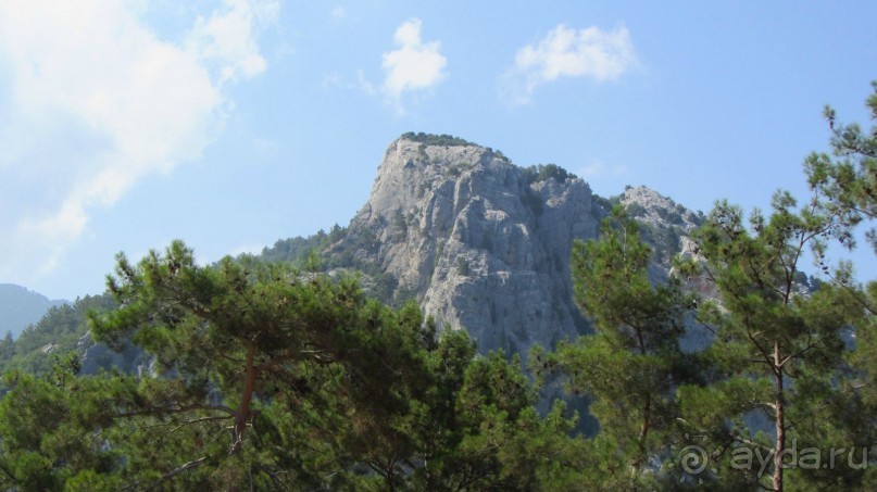 фото Wassermann Hotel