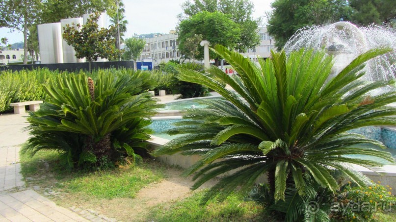 фото Wassermann Hotel